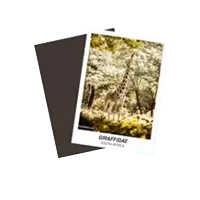 Custom Trading Cards