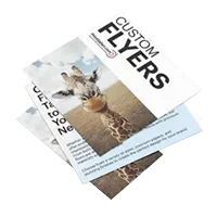 Flyers