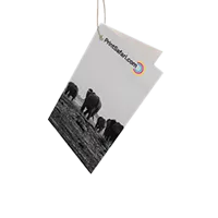 Folded Hang Tags