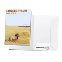 Presentation Folders