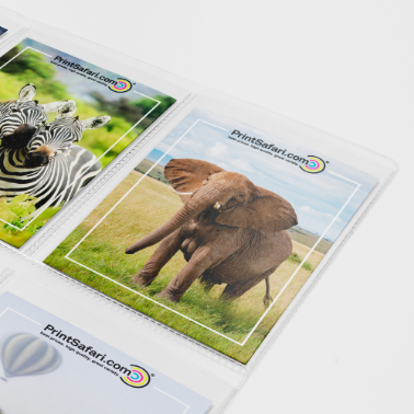 Custom wildlife-themed trading cards with zebra and elephant images, each in individual clear sleeves and marked with the PrintSafari.com logo.
