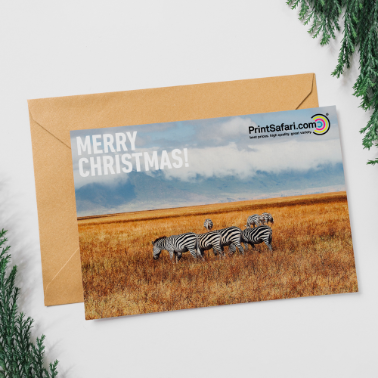 “Merry Christmas!” postcard with a photo of zebras in a golden savannah landscape under a cloudy sky, paired with a brown envelope and PrintSafari.com branding, arranged on a white surface with green holiday foliage.