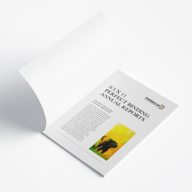 Open annual report lying flat, displaying a page with text and a small image on a clean white background.