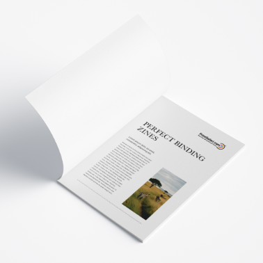 Open zine displaying a calendar-style layout with text and a small color photo of a lion, presented flat on a white background.