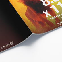 Catalog with Perfect Binding