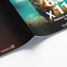 Magazine with Perfect Binding