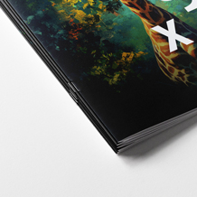 Magazine with Saddle Stitch Binding