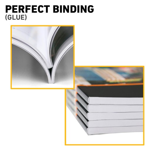 Visualisation of Perfect Binding.