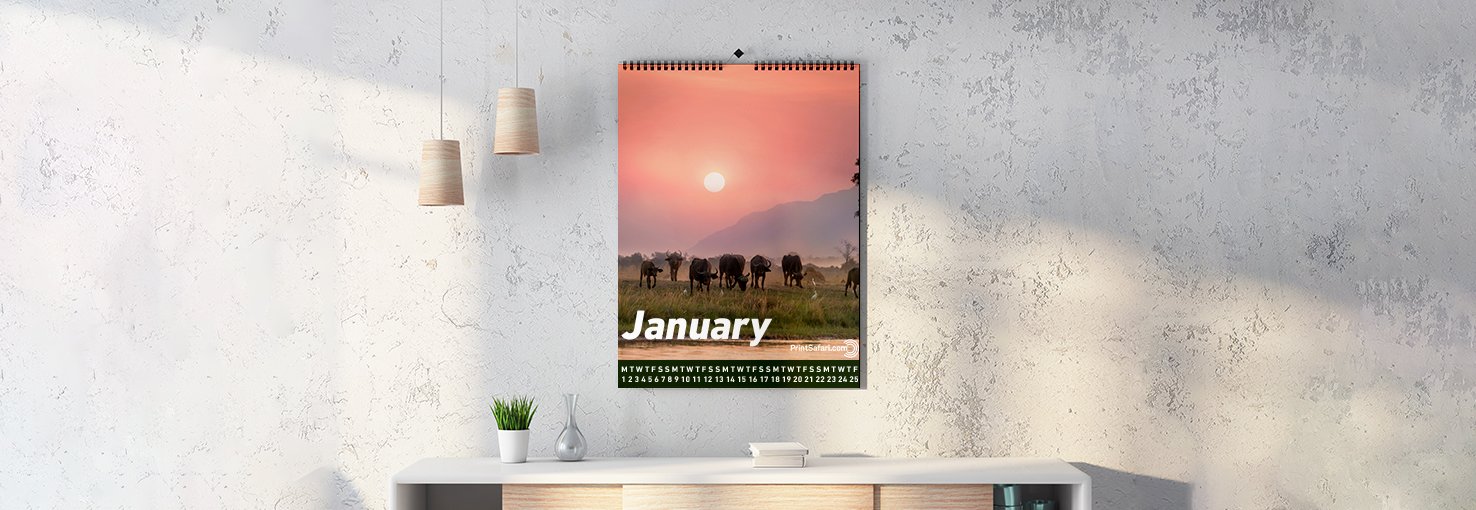 A wire-o calendar featuring a pink bright image of animals at sunrise on a concrete wall.