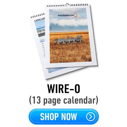 Product image and link of a 13 page wire-o calendar.
