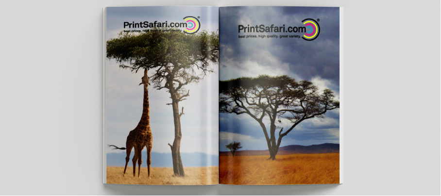 Catalog cover featuring a giraffe eating leaves from a tree.