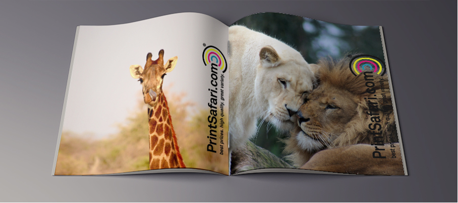 Open catalog displaying two pages, with a giraffe on the left and cuddling lions on the right.