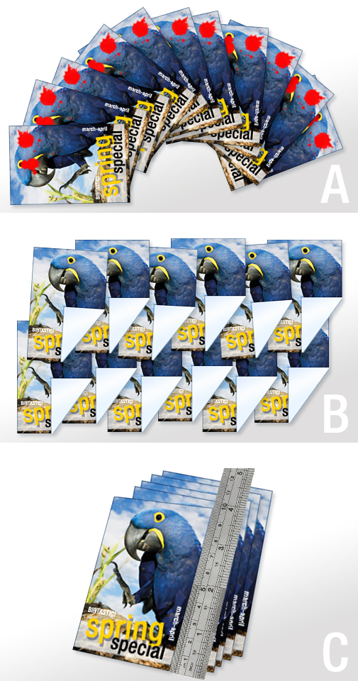 Example of how to take a picture for a refund.