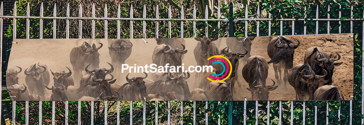 Image by PrintSafari