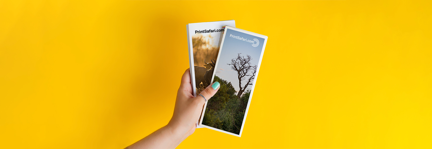 Image by PrintSafari