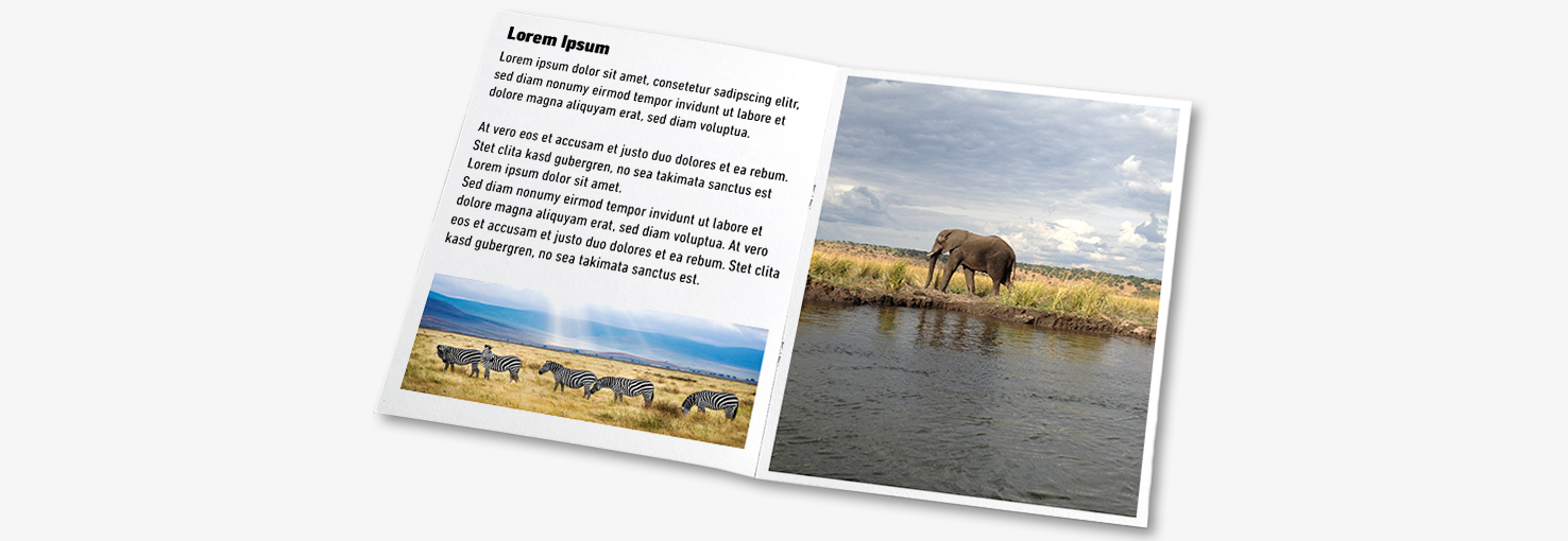 Image by PrintSafari