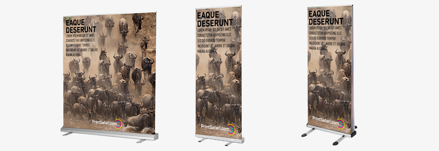 Image by PrintSafari